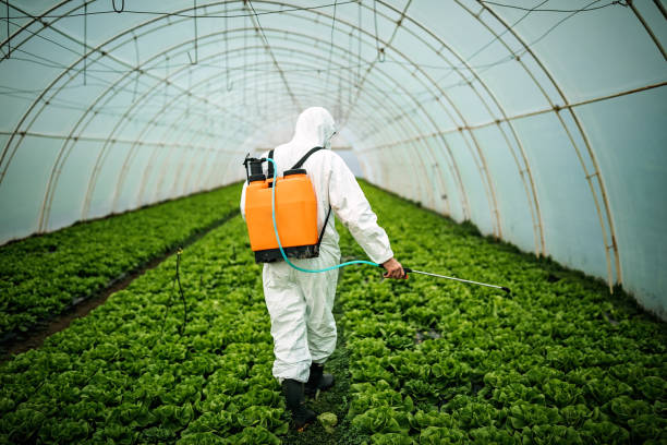 Best Commercial Pest Control Services  in Meadowbrook, CA