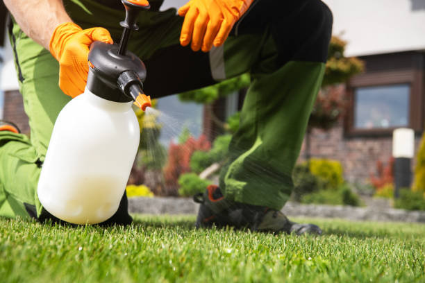 Best Pest Control Near Me in Meadowbrook, CA