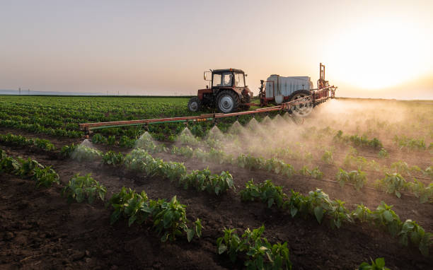 Professional Pest Control in Meadowbrook, CA