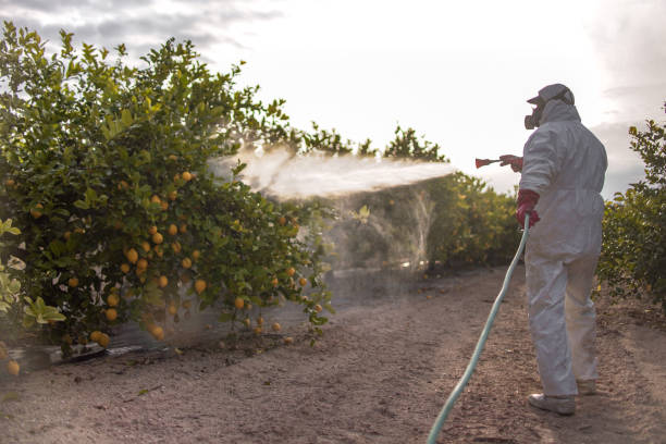Best Pest Control Near Me  in Meadowbrook, CA