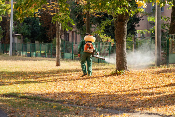Best Spider Control Near Me  in Meadowbrook, CA