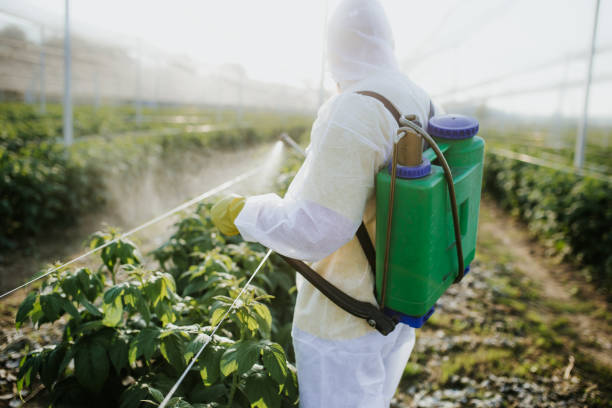  Meadowbrook, CA Pest Control Pros